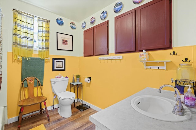 bathroom with a shower with curtain, vanity, and wood finished floors