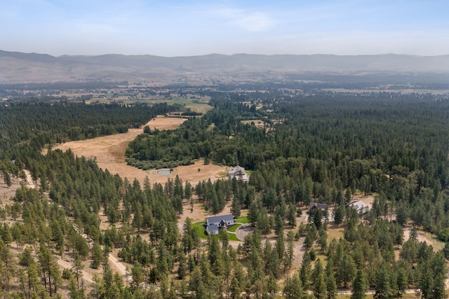drone / aerial view featuring a mountain view and a view of trees