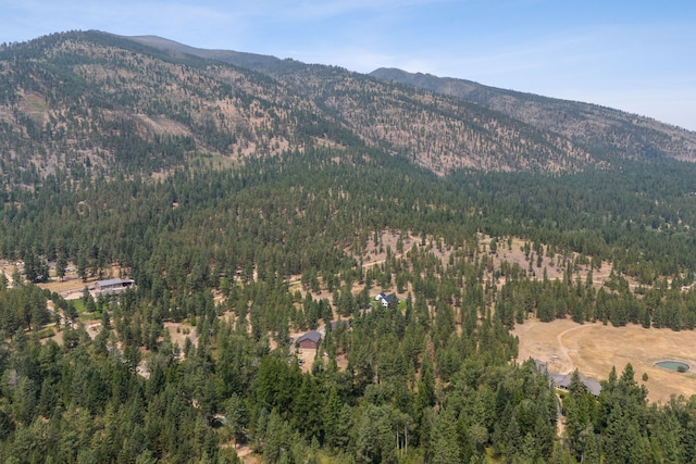 property view of mountains featuring a forest view