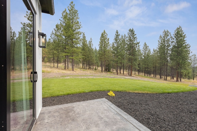 view of yard featuring a patio