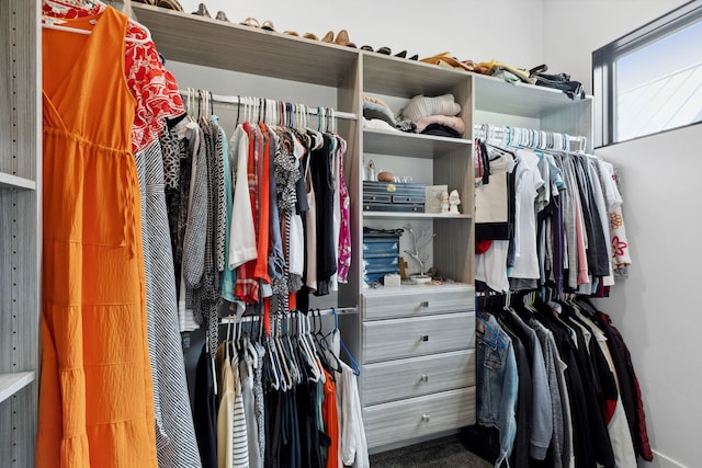view of walk in closet