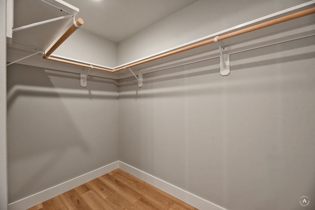 215 Meadow View Loop, East Helena, MT 59635 - walk in closet with light wood-style floors