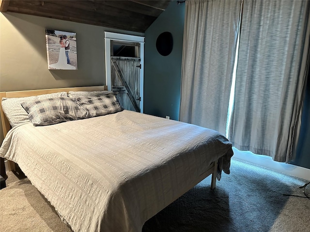 11 High Country Ct, Plains, MT 59859 - bedroom featuring carpet floors and a closet