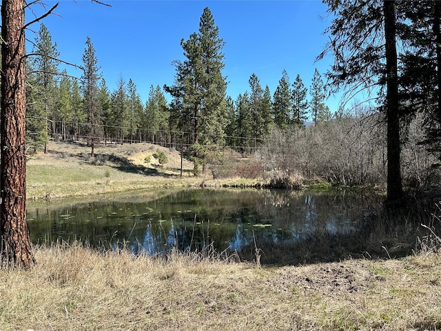 11 High Country Ct, Plains, MT 59859 - view of water feature with a forest view