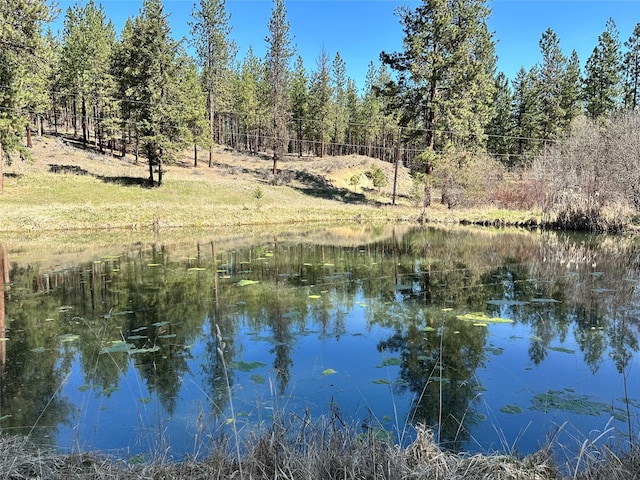 11 High Country Ct, Plains, MT 59859 - property view of water