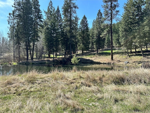 11 High Country Ct, Plains, MT 59859 - view of local wilderness