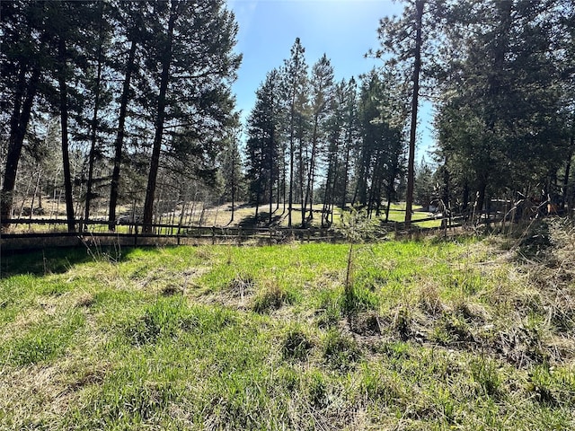 11 High Country Ct, Plains, MT 59859 - view of yard