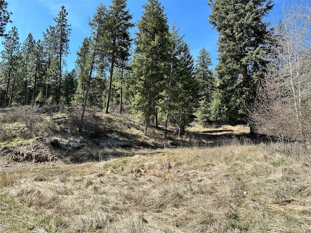 11 High Country Ct, Plains, MT 59859 - view of landscape