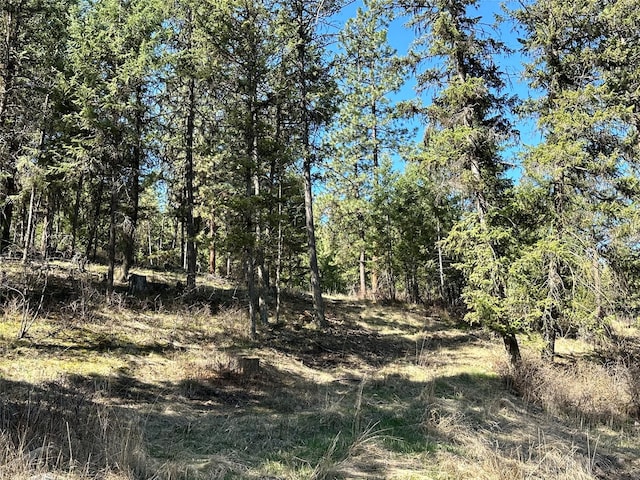 11 High Country Ct, Plains, MT 59859 - view of nature featuring a view of trees