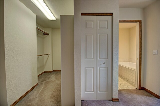 walk in closet with carpet flooring