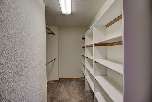 walk in closet featuring dark colored carpet