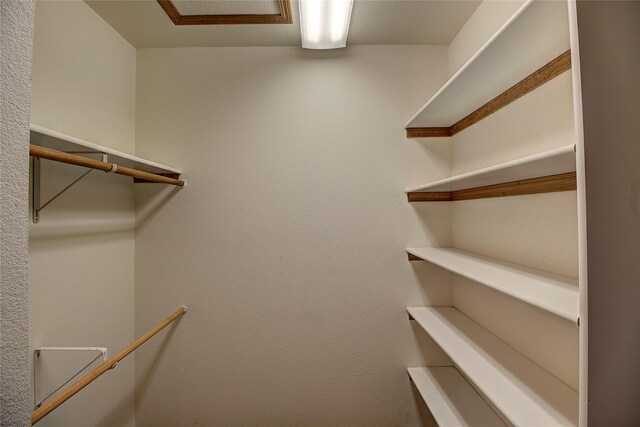 view of walk in closet