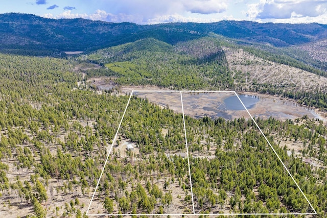 view of mountain feature featuring a view of trees and a water view