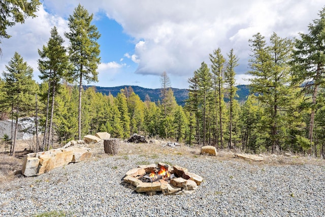mountain view featuring a forest view