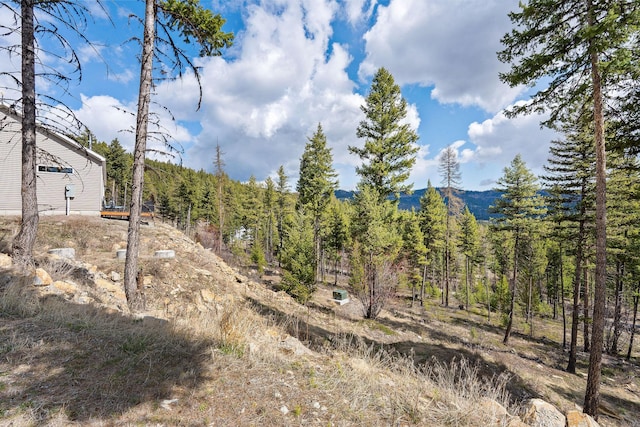 view of yard with a forest view