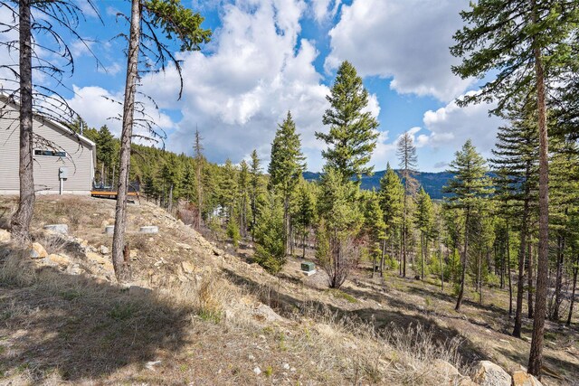 87 Hodge Rdg, Kila, MT 59920 - view of yard with a mountain view and a wooded view