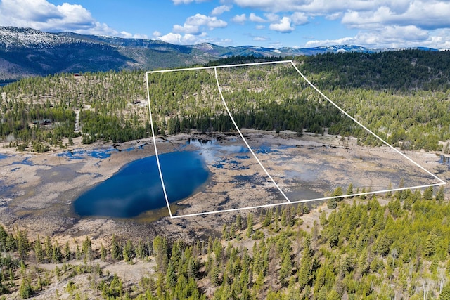 drone / aerial view with a view of trees and a water and mountain view