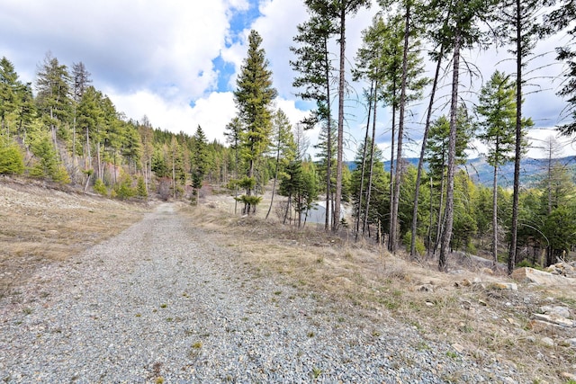view of local wilderness featuring a forest view and a mountain view