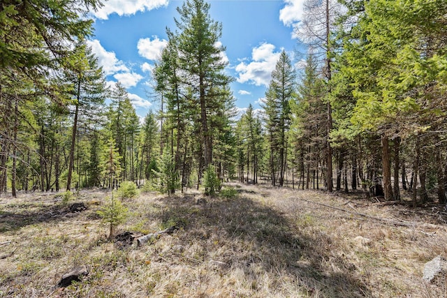 view of landscape featuring a wooded view
