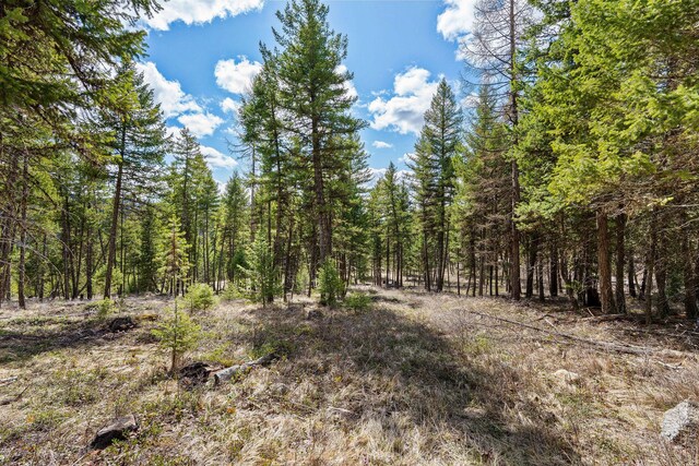 87 Hodge Rdg, Kila, MT 59920 - view of nature with a view of trees