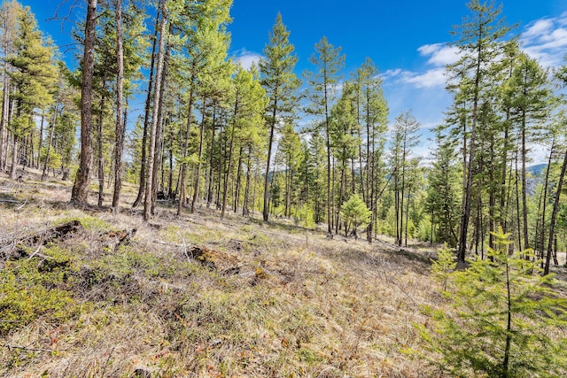 view of nature with a view of trees