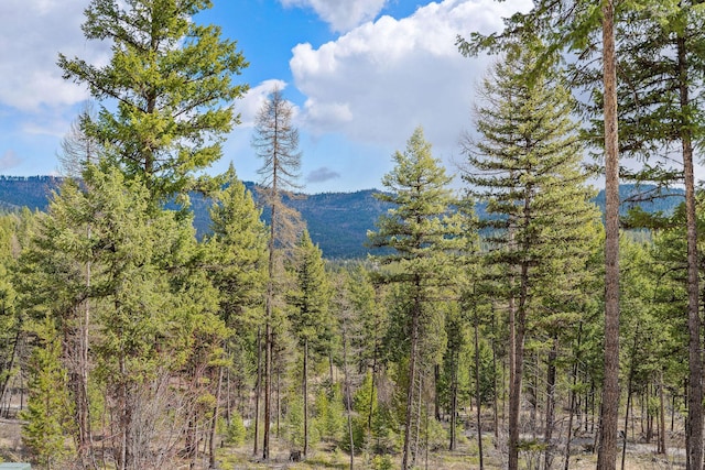property view of mountains with a view of trees