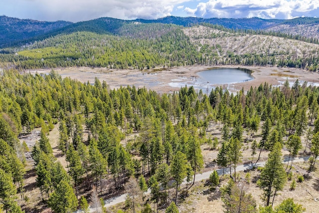 birds eye view of property featuring a water and mountain view and a wooded view