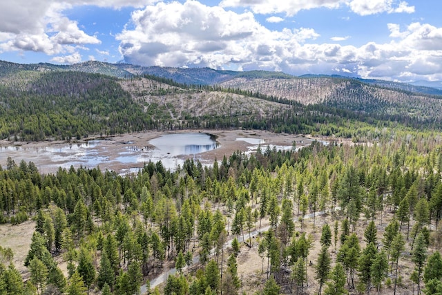 mountain view with a water view and a wooded view