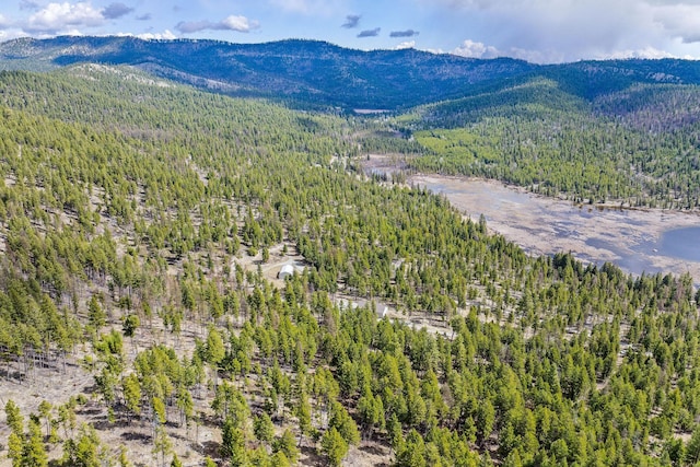aerial view with a view of trees and a mountain view