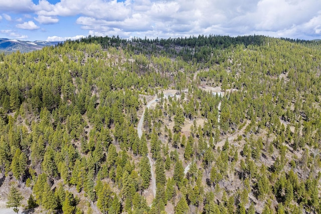 drone / aerial view featuring a view of trees
