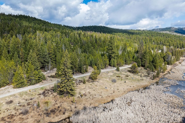 view of mountain feature with a view of trees