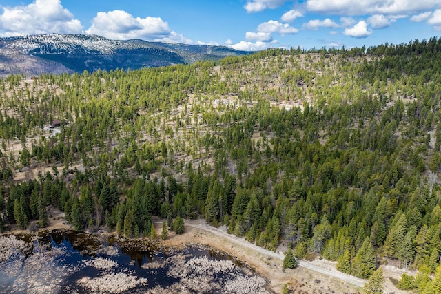 birds eye view of property featuring a forest view and a mountain view