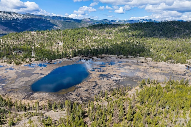 aerial view with a forest view and a water and mountain view