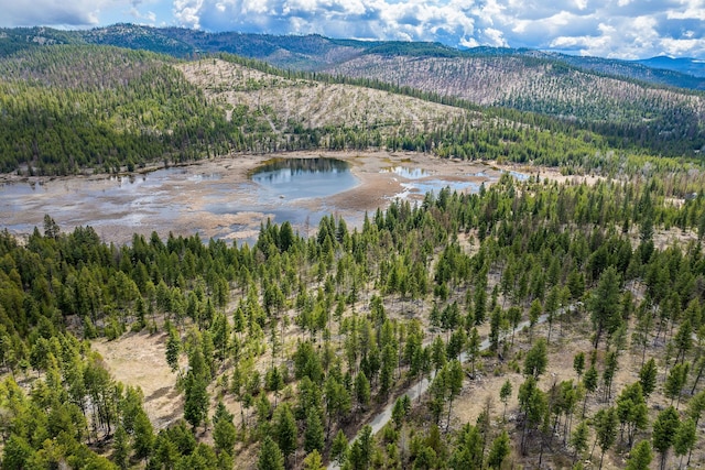 aerial view with a view of trees and a water and mountain view