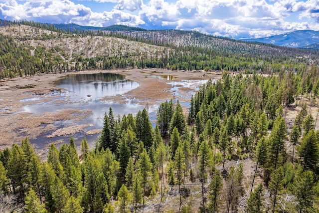 aerial view with a view of trees and a water and mountain view