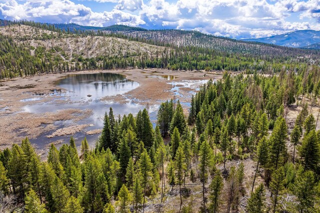 87 Hodge Rdg, Kila, MT 59920 - aerial view with a water and mountain view and a forest view