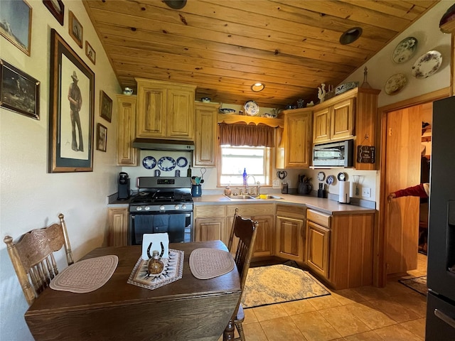 5 Whitepine Ranch Ln, Trout Creek, MT 59874 - kitchen with a sink, light tile patterned floors, wood ceiling, stainless steel appliances, and under cabinet range hood