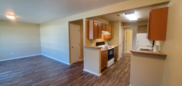 1034 Main St, Corvallis, MT 59828 - kitchen with light countertops, under cabinet range hood, dark wood-type flooring, and electric stove
