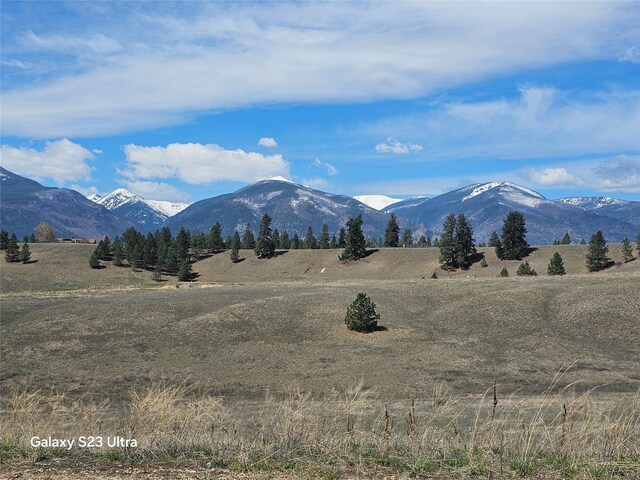 1071 Rugged Ridge Rd, Stevensville, MT 59870