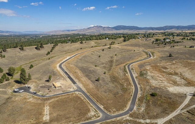1071 Rugged Ridge Rd, Stevensville, MT 59870
