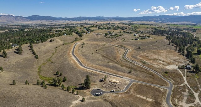 1071 Rugged Ridge Rd, Stevensville, MT 59870