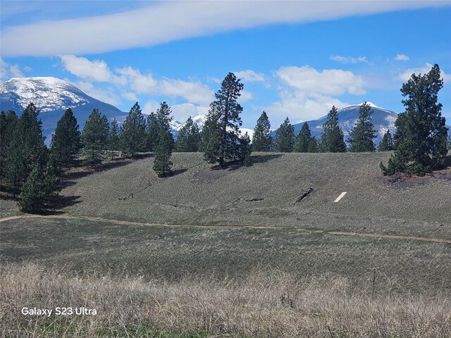 1071 Rugged Ridge Rd, Stevensville, MT 59870
