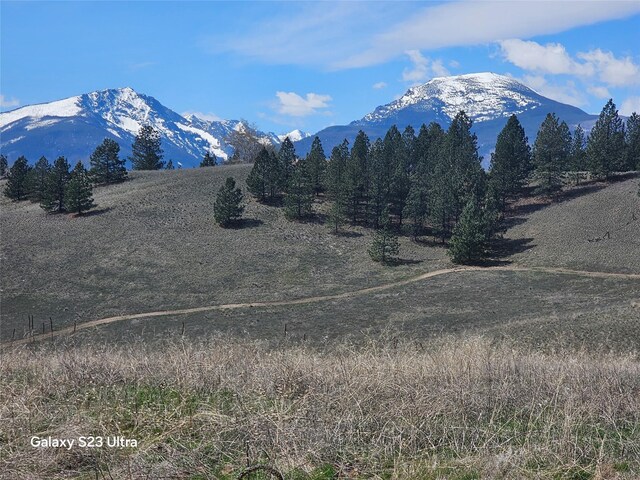 1306 Rugged Ridge Rd, Stevensville, MT 59870