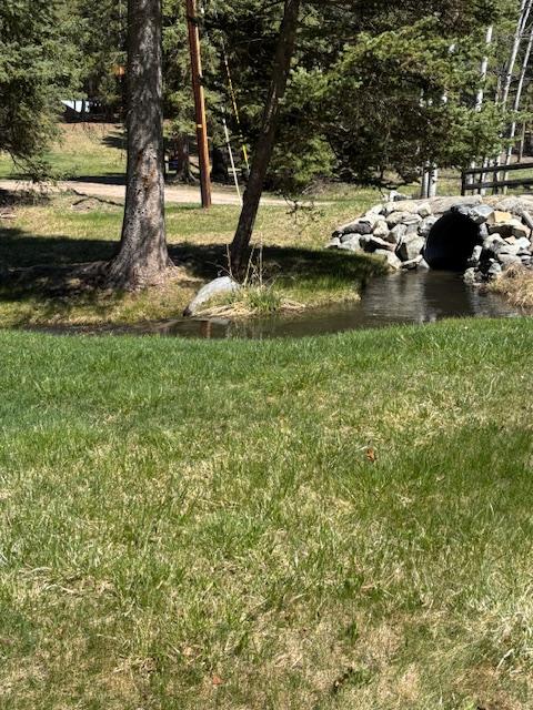2025 Emmons Canyon Rd, Kila, MT 59920 - view of yard