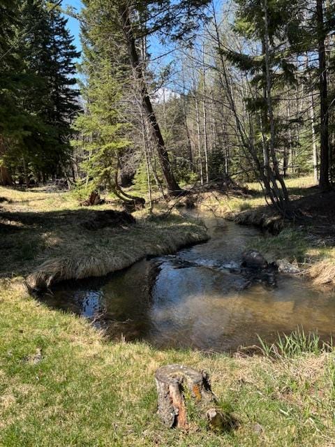 2025 Emmons Canyon Rd, Kila, MT 59920 - water view