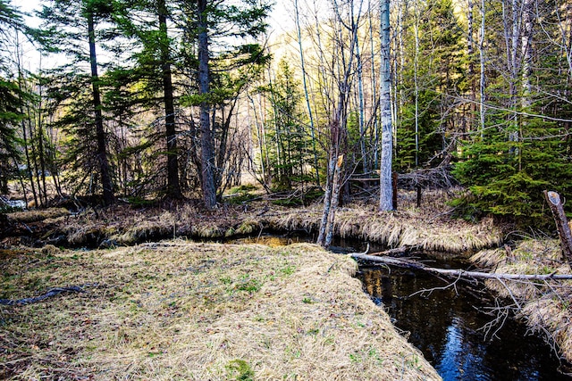 2025 Emmons Canyon Rd, Kila, MT 59920 - view of yard