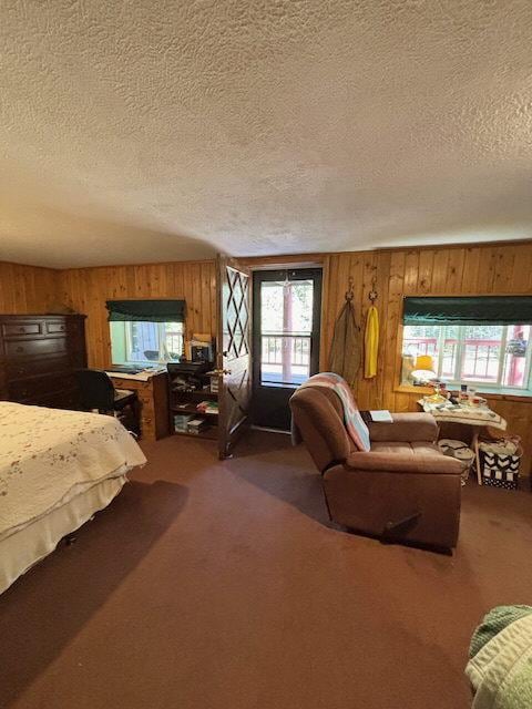 2025 Emmons Canyon Rd, Kila, MT 59920 - carpeted living area featuring a textured ceiling, wood walls, and healthy amount of natural light