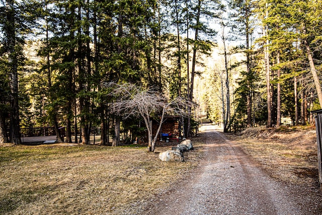 2025 Emmons Canyon Rd, Kila, MT 59920 - view of street