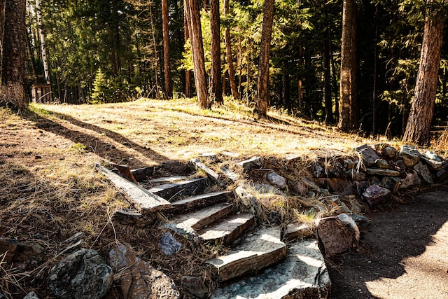 2025 Emmons Canyon Rd, Kila, MT 59920 - view of yard with a wooded view