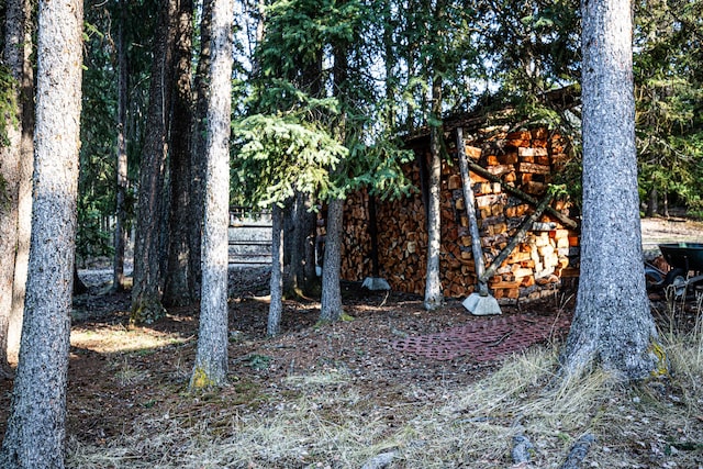 2025 Emmons Canyon Rd, Kila, MT 59920 - view of yard